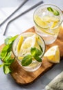 Lemonade drink with fresh lemons, lime, mint and ice close up. Refreshing citrus mojito cocktail on a light background with tube. Royalty Free Stock Photo