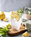 Lemonade drink with fresh lemons, lime, mint and ice. Refreshing citrus mojito cocktail on a light background with shadow. Summer Royalty Free Stock Photo