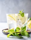 Lemonade drink with fresh lemons, lime, mint and ice. Refreshing citrus mojito cocktail on a light background. Summer cold drinks Royalty Free Stock Photo