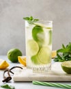 Lemonade drink of soda water with lemon, lime and fresh mint Royalty Free Stock Photo