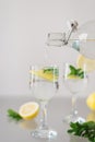 Lemonade with fresh mint and sliced lemon Royalty Free Stock Photo