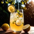 Lemonade, fresh squeezed lemon citrus fruit drink