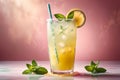 lemonade in a glass with lemon slices and mint Royalty Free Stock Photo