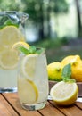 Lemonade in glass and pitcher with mint and sliced lemons Royalty Free Stock Photo