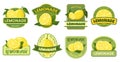 Lemonade label. Fresh and natural lemonades tag with yellow lemon fruit, citrus juice stickers vector set