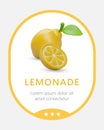 Lemonade label template. Concept for packaging drinks with lemon flavor and aroma