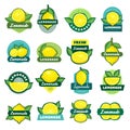 Lemonade labels. Sticky decorative tags or badges with lemon pictures recent vector labels for fresh juice Royalty Free Stock Photo