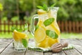 Lemonade with lemon, mint and ice