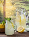 Glass of lemonade with lemon slices and mint Royalty Free Stock Photo
