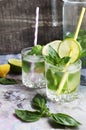 Lemonade with mint and basil Royalty Free Stock Photo