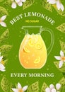 Lemonade poster. Summer drink, fresh soda ad, flyer with cold ice fruits, lemon cocktail promotion, texture food banner