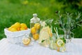 Lemonade refreshing drink in a jug and jars with lemons, fresh mint and ice with a basket with lemons and kumquat on a garden Royalty Free Stock Photo