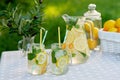 Lemonade refreshing drink in a jug and jars with lemons, fresh mint and ice with a basket with lemons and kumquat on a garden Royalty Free Stock Photo