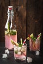 Lemonade with rhubarb, mint and lime. Royalty Free Stock Photo