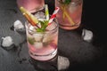 Lemonade with rhubarb, mint and lime. Royalty Free Stock Photo