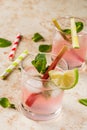 Lemonade with rhubarb, mint and lime. Royalty Free Stock Photo