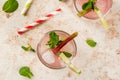 Lemonade with rhubarb, mint and lime Royalty Free Stock Photo