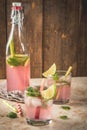 Lemonade with rhubarb, mint and lime. Royalty Free Stock Photo