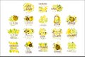 Lemonade set for label design. Colorful vector Illustrations Royalty Free Stock Photo