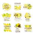 Lemonade set for label design. Colorful vector Illustrations Royalty Free Stock Photo