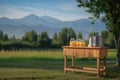 lemonade stand in beautiful, serene setting with mountains in the background