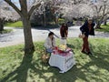 Lemonade Stand at Kenwood Maryland During Peak Cherry Blossoms