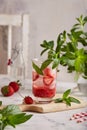 Lemonade with strawberries, ice cubes, and mint. Refreshing beverage. Royalty Free Stock Photo