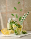 Lemonade in a transparent glass with lemon, lime, rosemary sprigs and mint leaves on a white background Royalty Free Stock Photo