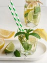 Lemonade in a transparent glass with lemon, lime, rosemary sprigs and mint leaves on a white background Royalty Free Stock Photo