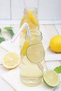 Lemonade in two jars with slices of lime and lemon Royalty Free Stock Photo