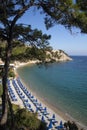 Lemonakia beach, pebble beach with crystal water and pine forest on the Samos island in Greece Royalty Free Stock Photo