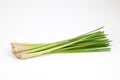 Lemongras bunch on white background Royalty Free Stock Photo