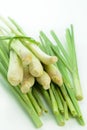 Lemongrass