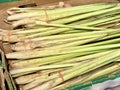 Lemongrass Bunches