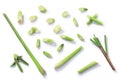 Lemongrass Cymbopogon citratus, cut stems isolated on whie, top view