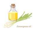 Lemongrass essential oil in glass bottle and bunch of aromatic herbs Royalty Free Stock Photo