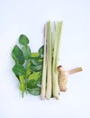 Lemongrass, galangal and leaf of bergamot kaffir lime on white background Royalty Free Stock Photo