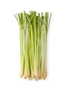 Lemongrass isolated on white background.