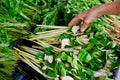 Lemongrass and kaffer lime leaf in market