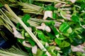 Lemongrass and kaffer lime leaf in market