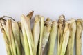 fresh lemongrass leaf isolated on white background Royalty Free Stock Photo