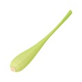 Lemongrass stem icon. Sliced lemongrass stalk, for Thai soup, seasoning. Or cosmetics