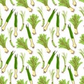 Lemongrass vector seamless pattern background vector. Background for menu, packaging, wrappers, kitchen prints, spice shop