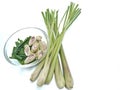 Lemongrass on a white background Royalty Free Stock Photo