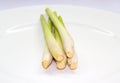 Lemongrass on white dise Royalty Free Stock Photo