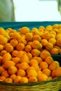 Lemons in the baskets on display at farmer`s market Royalty Free Stock Photo