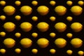 Lemons on black background, succession of lemons of different sizes