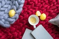 Lemons, books and cup on the gray and red knitted blanket from merino wool Royalty Free Stock Photo