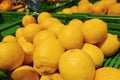 Lemons in the boxes on display in supermarket in Spain Royalty Free Stock Photo