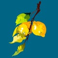 Lemons on a branch for your ideas